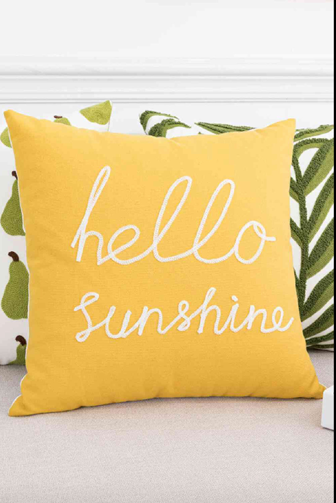 Throw Pillows/Cushions