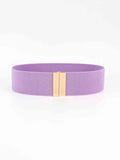 Alloy Buckle Elastic Belt